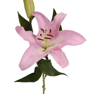 Pink Oriental Lilies