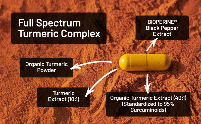 NatureWise Turmeric Curcumin Complex 3200 mg with BioPerine for Absorption - Turmeric Curcumin Supplement for Antioxidant Support - Non-GMO, Vegan, USA Manufactured