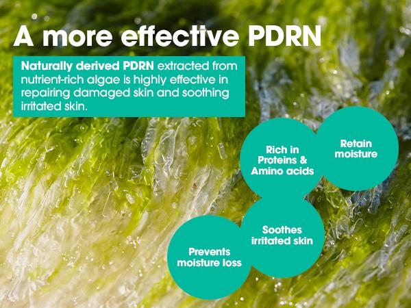 PDRN Spirulina Poreless Primer 10g – Makeup Stick for Oily Skin Control - Providing Smooth and Shine-Free Finish - Korean Skin Care