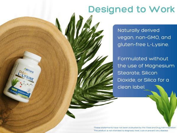 Clean L-Lysine 600mg – Additve-free Formula for Immunity and Muscle Recovery | Palmara Health Clean L-Lysine 600mg – Additve-free Formula for Immunity and Muscle Recovery | Palmara Health