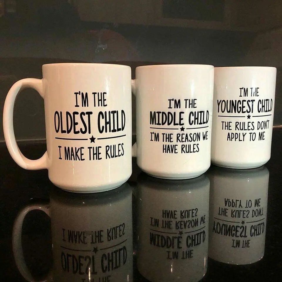 I'm The Oldest Child, Middle Child, Youngest Child Mug, Funny Mug, Gift For Brother And Sister, Family Mug