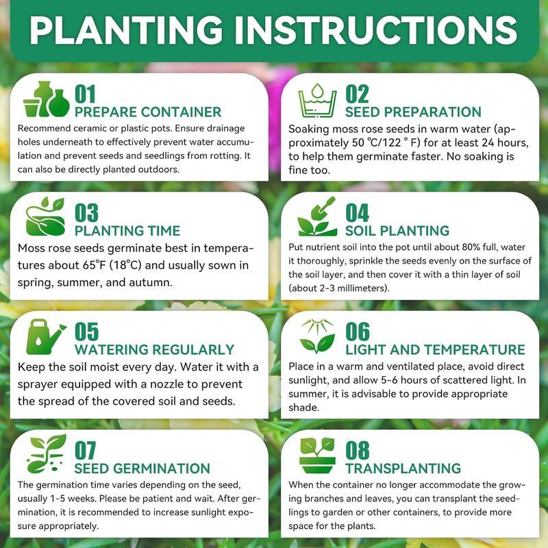 200+ Rose Seeds | Perennial Flower Seeds for Home Gardens & Outdoor Planting