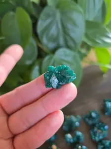 Dioptase Rough Crystal Specimen - Congo (28)
