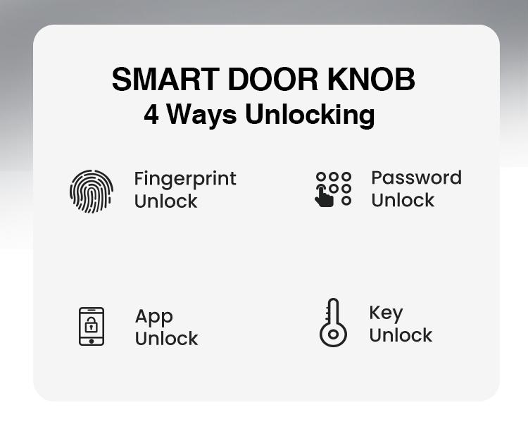 GHome Smart 4-in-1 Fingerprint Door Knob with Keypad, Biometric Smart Knob and App Control, Keyless Entry Door Lock with Password Function | TikTokShopBlackFriday