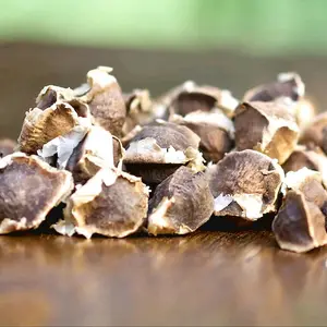 50 Moringa Seeds for Planting – Fast Growing Moringa Tree Seeds for Garden and Backyard Planting, Seeds Only Not Live Plants