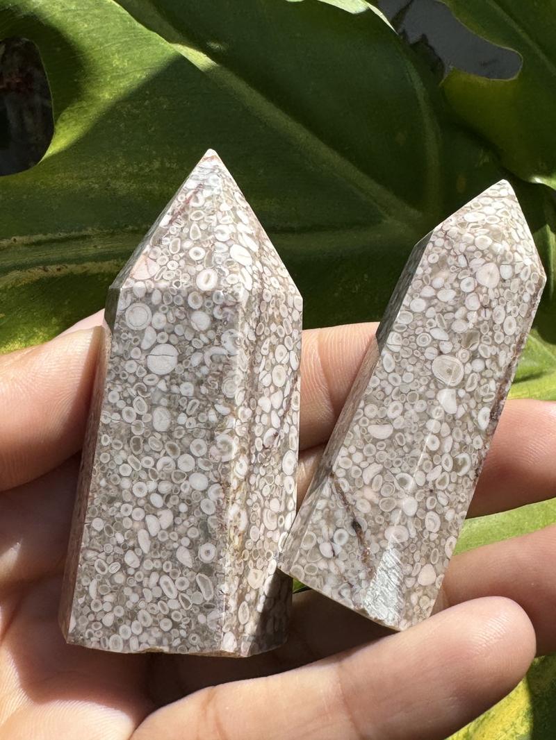 Fossilized Coral Jasper Towers from Urban Rutile