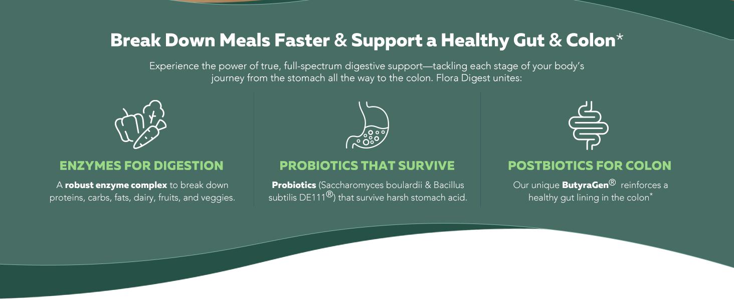 Flora Digest | 3-in-1 Digestive Enzymes, Probiotics & ButyraGen Postbiotic – Supports Digestive Comfort, Bloating Relief & Colon Health – 30 Capsules fitness dietary