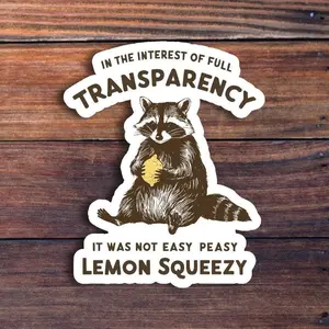Not Easy Peasy Raccoon Sticker, Funny Sarcastic Animal Sticker, Cute Meme Raccoon, Waterproof Vinyl Decal