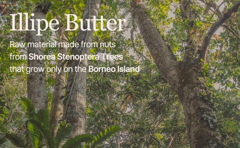 [mixsoon Official Shop] Vegan Melting Lip Balm (Dry Rose) 0.14 oz / 4.1g - Nourishing Lip Balm Stick for Dry Cracked Lips, Korean Skin Care