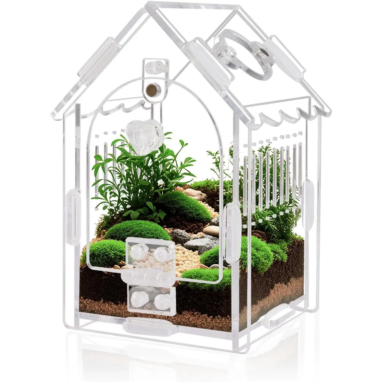 Jumping Spider Enclosure - Internal Dimensions 3.15"x3.15"x5.6"  Terrarium Kit for Tarantulas/Mantis/Reptiles with  Door, Ventilation & Easy Assembly