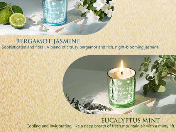 Mayicivo 3-Pack Soy Scented Candles, Home Fragrance Votive Candles, Festive Holiday Gifts for Women (Christmas, Birthday Presents for Mom, Friends)