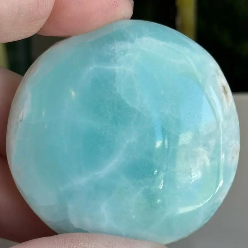 Caribbean Calcite Disks