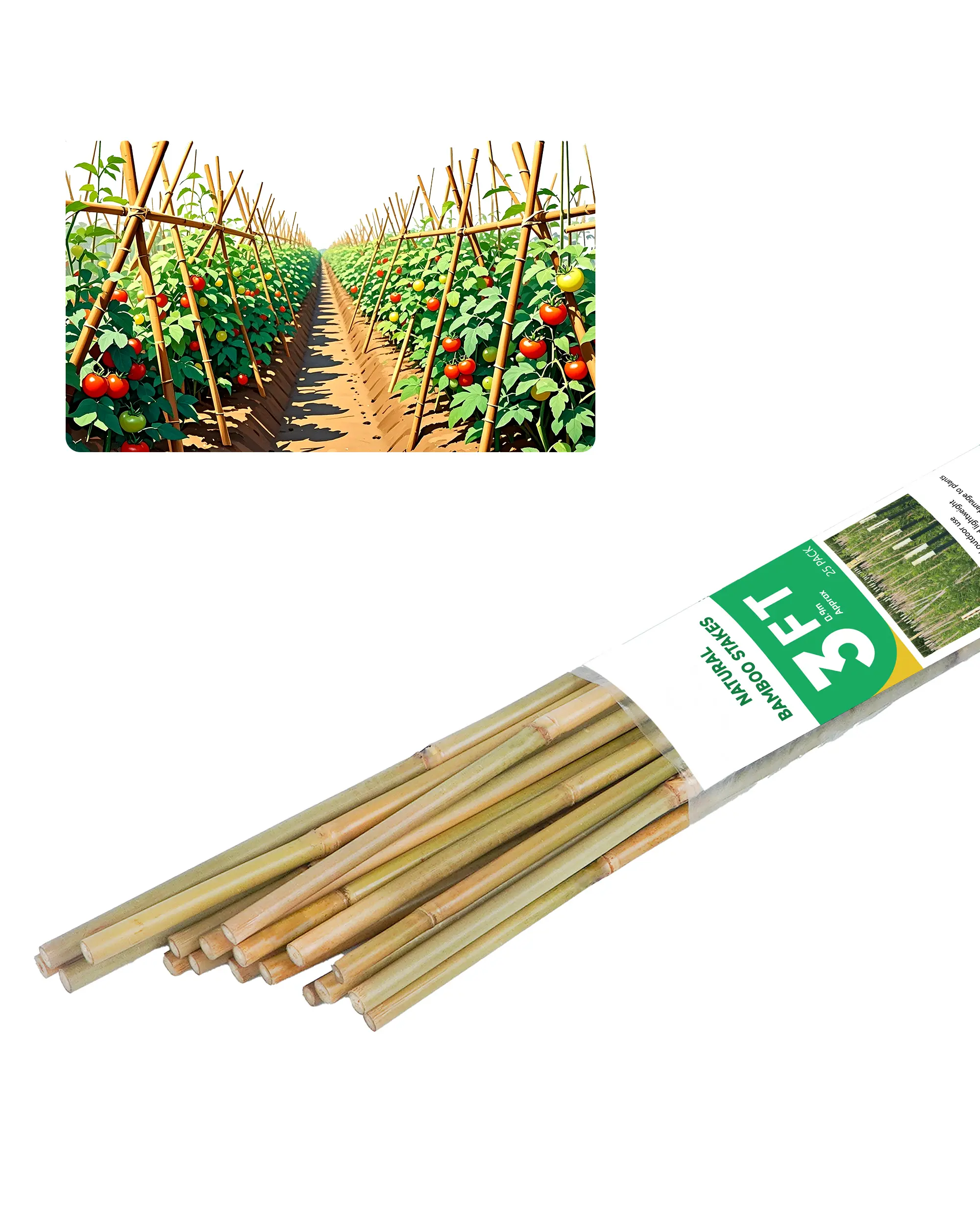 2ft–6ft Natural Bamboo Stakes – Garden Plant Support for Tomatoes & Flowers, 25-Pack
