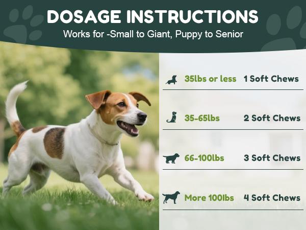 【32-in-1】Dog Chewable with Glucosamine & MSM, Omegas 3 & 6, Probiotics, Dog Vitamins and Supplements for Hip & Joint Health, Skin & Coat, Immune Boost & Overall Natural Health 120 Soft Chews cat Multivitamin