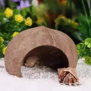 Natural coconut shell hideout for geckos, lizards, spiders, snakes, scorpions, hamsters, centipedes, and hermit crabs (reptile tank/terrarium hideout/cave).