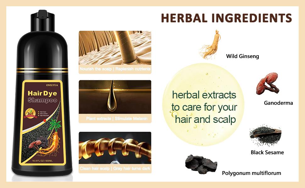 Natural Coffee 3-in-1 Hair Dye Shampoo for Gray Hair, Semi Permanent Instant Hair Color for Women & Men, 100% Gray Hair Coverage with Herbal Ingredients, Safe Natural Champu Para Canas/Shampoo Para Pintar El Cabello, 500ml Haircare Black