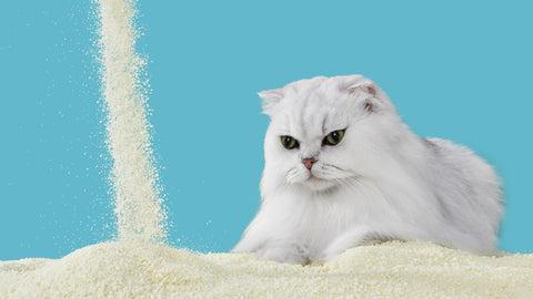 Michu Wonder Cat Litter Plant Based Litter Robot Friendly 5.5lb/88oz