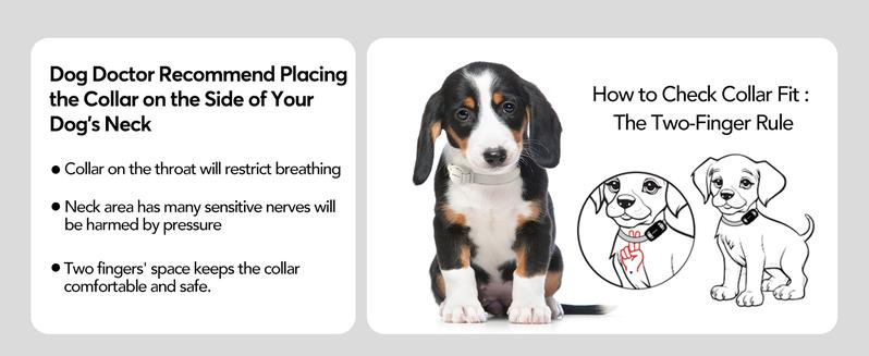 Jugbow Shock Collar for Small Dogs - 4200FT Dog Training Collar with Remote for 5-30lbs Mini Small Dogs, IPX8-Waterproof Rechargeable E-Collar with Beep (1-9), Vibration(1-3), Safe Shock(0-16) DT54