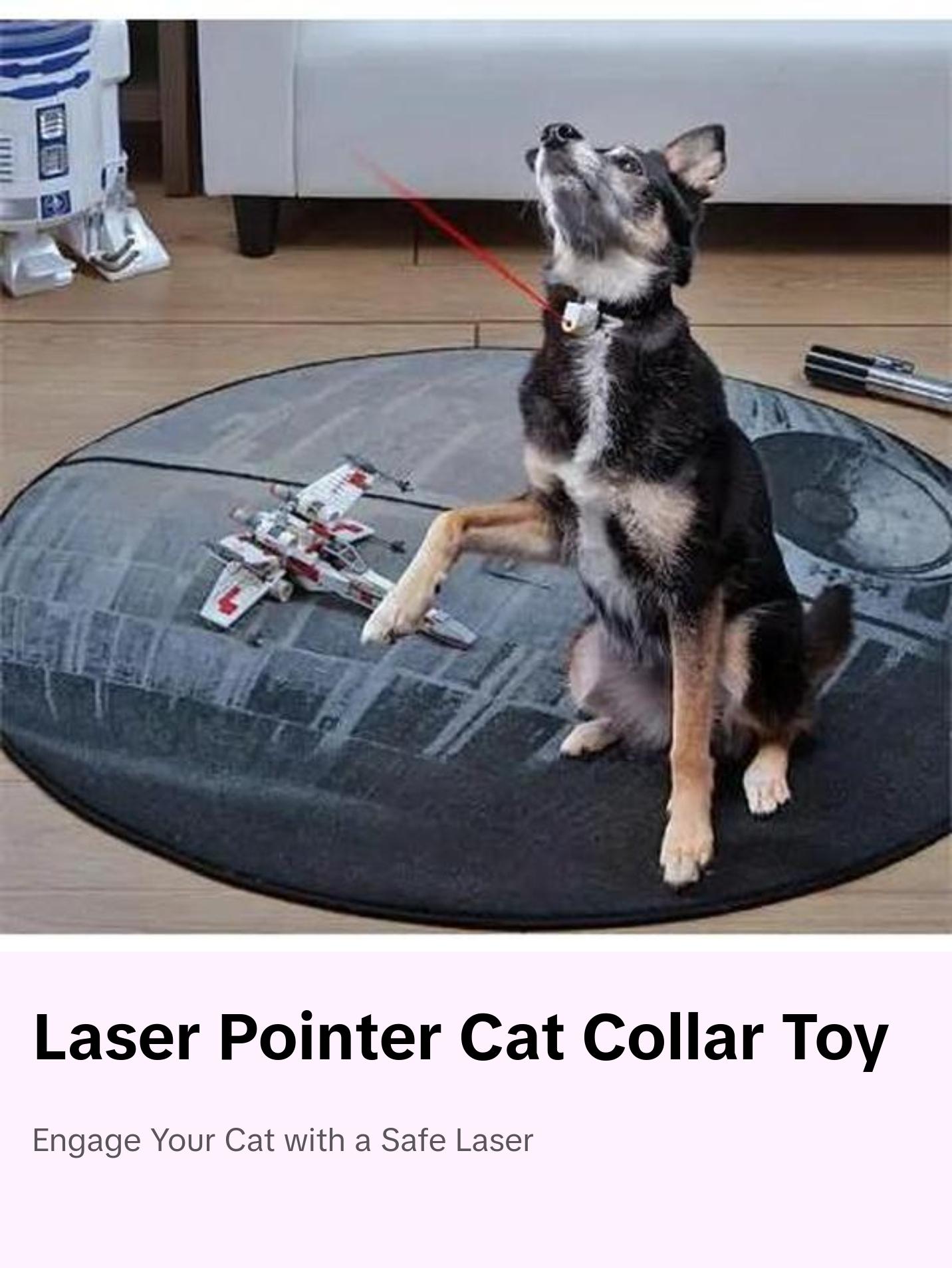 Laser Pointer Pet Pet Collar