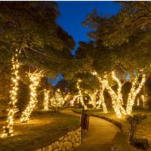 Brightown Solar Rope String Lights Outdoor 2 Pack 39 Feet 100 Led Waterproof Solar Powered Fairy Lights with 8 Lighting Modes, Copper Wire PVC Tube Lights for Garden Wedding Party DIY Decor (Warm White)