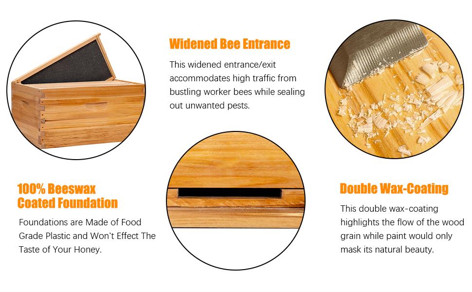 MayBee Hives 8/10 Frame Bee Hive Complete  Starter Kit Include 22 pcs Bee Hive Tools for Beginners Pro Beekeepers Beekeeping ,Wax Coated Langstroth Bee Box with 100% Beeswax Plastic Foundation,22 Bee Equipment :Wood Brush Safety Beekeeping Equipment