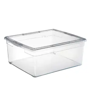Your Bin- Clear Storage Bin with Cover