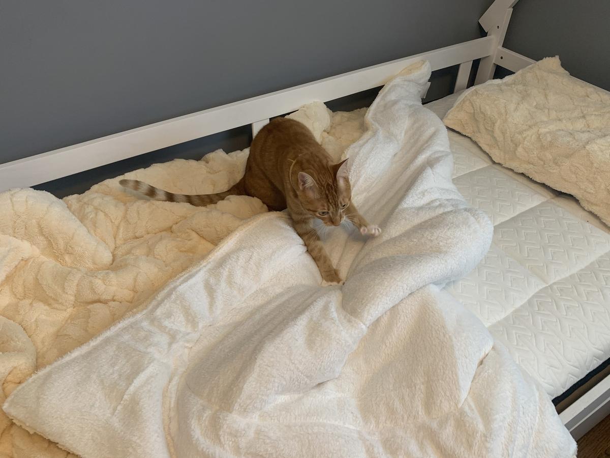 Item: Beige & White, Twin-2pcs: 64"x88"