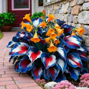 1000 PCS Hosta Seeds Suitable for Yard Borders, Garden Beds and Landscape Edge Planning