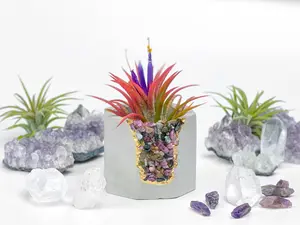 Tourmaline Crystal Geode Planter Concrete Air Plant Holder
