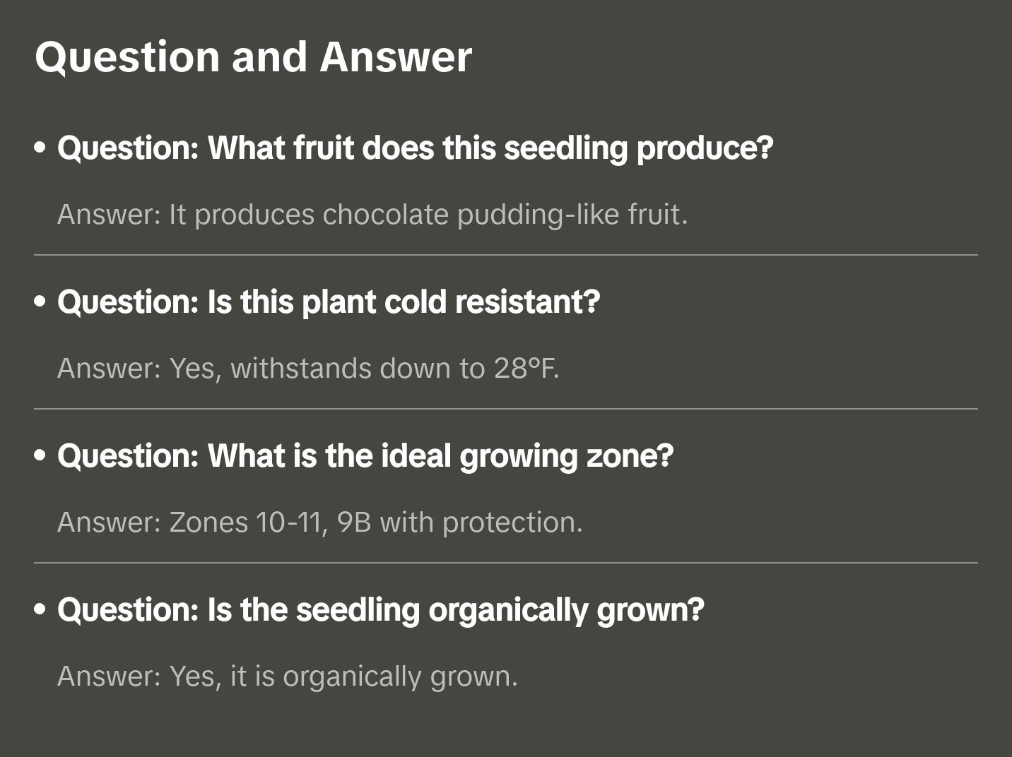 Diospyros nigra, Black sapote seedling (chocolate pudding fruit) Zapote Prieto Diospyros nigra, Black sapote seedling (chocolate pudding fruit) Zapote Prieto