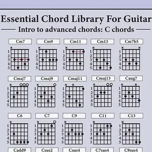 Essential Guitar Chord Library - Laminated CAGED Chord Charts
