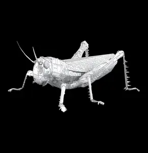Metal Grasshopper 3D Model
