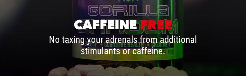 Gorilla Shroom Nootropic Mushroom Supplement -  Lion’s Mane, Cordyceps, Reishi, Maitake - For Energy, Immune Health & Focus - (30 Servings)