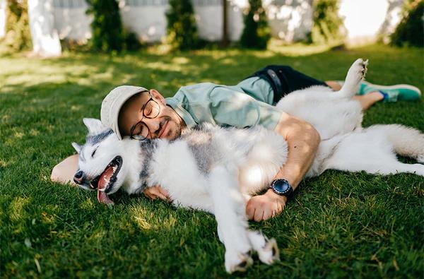Dog Longevity Supplement | Pawprint Protocol NAD+ Liquid Drops for Senior Dogs Hind Leg & Energy Support