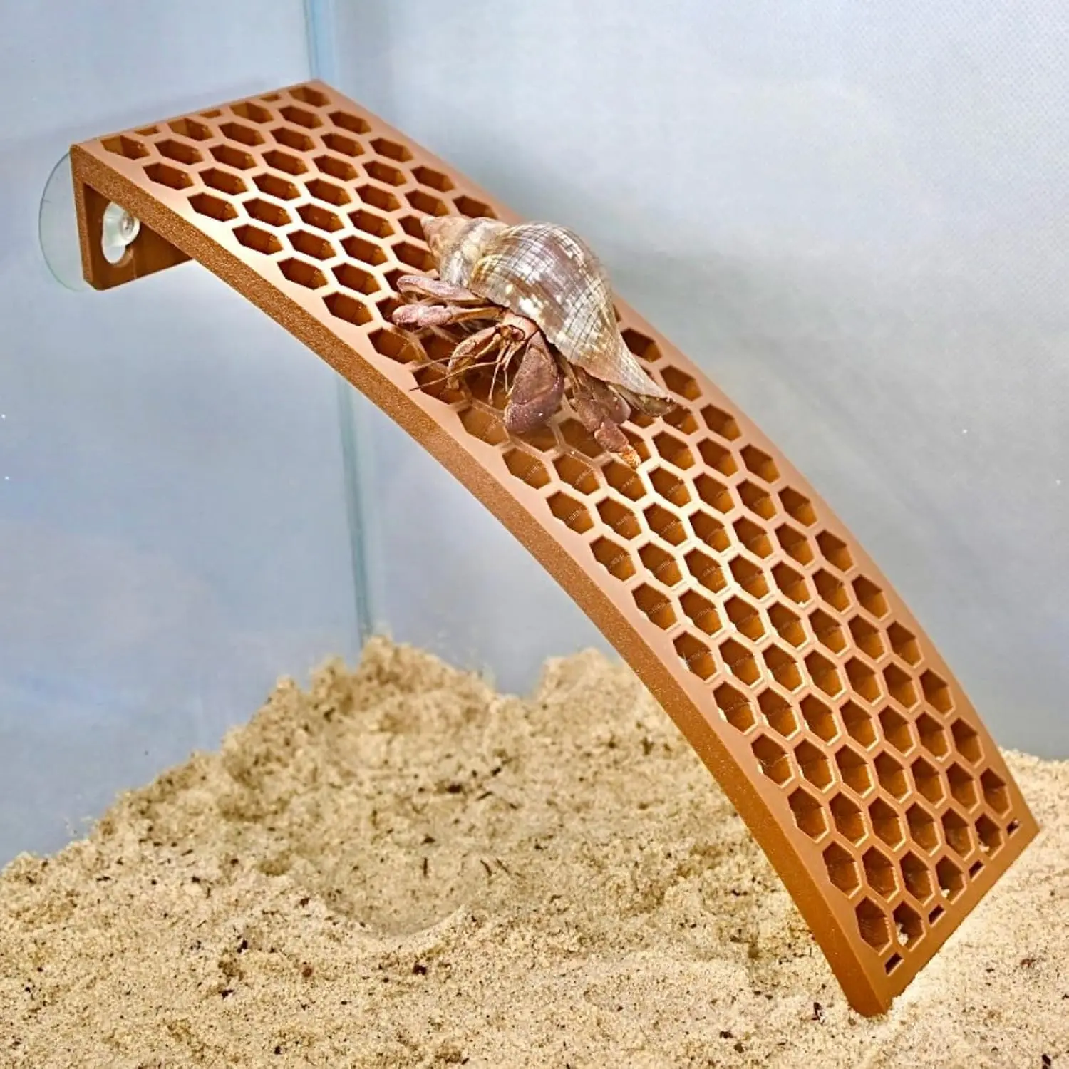 Hermit Crab Ladder Ramp Climbing Toy Hermit Crab Ladder Ramp Climbing Toy