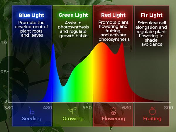 Barrina T10 Pro Standing Grow Light with Timer, 42W, 169 LEDs, Full Spectrum, Vertical Light, Wide Coverage, 4FT to 5.6FT Height with Foot Switch