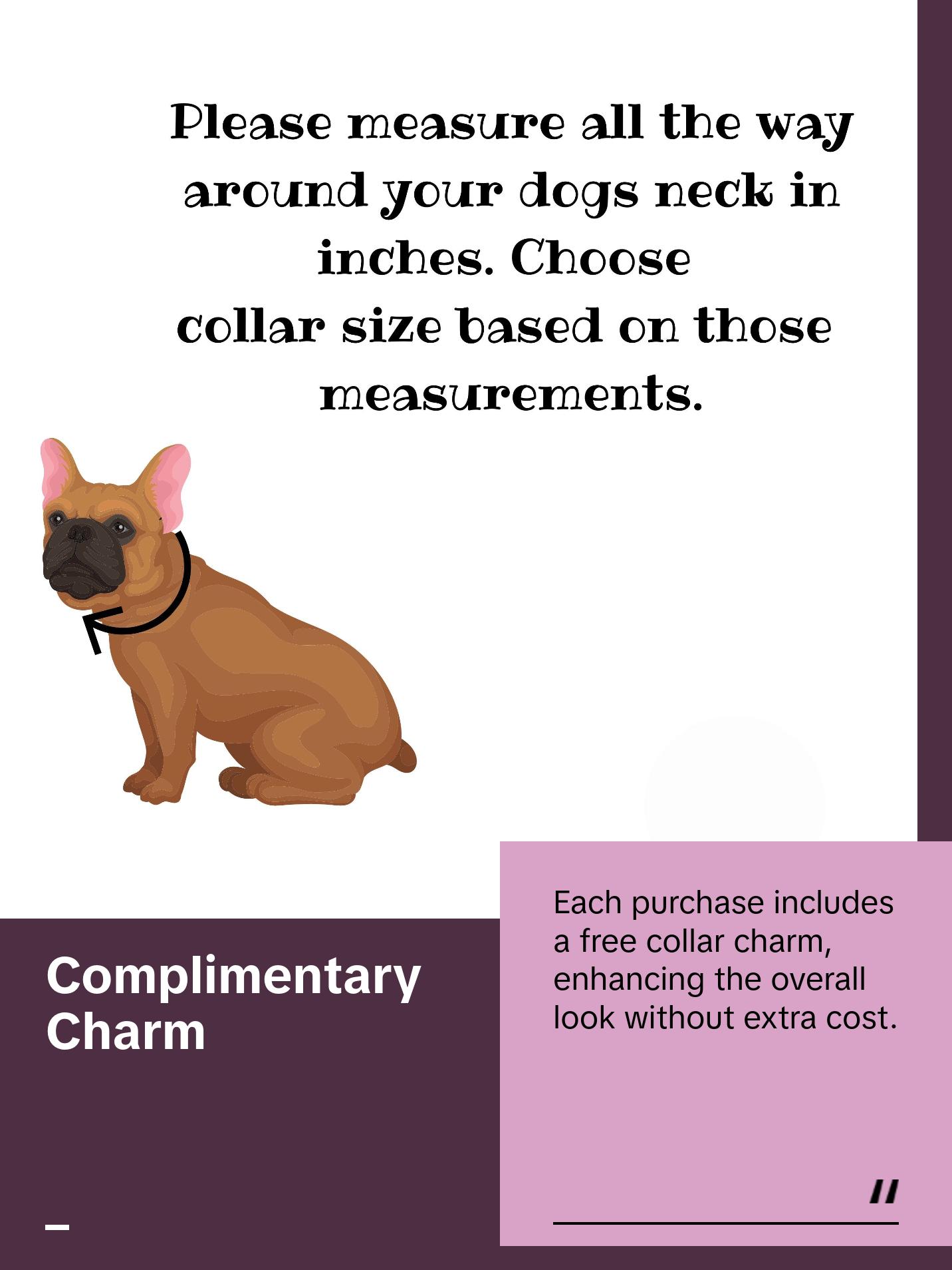 Pink & Mint Beaded Dog Collar | Custom Pearl Dog Collars  | Durable Dog Necklace | Luxury Dog Jewelry |