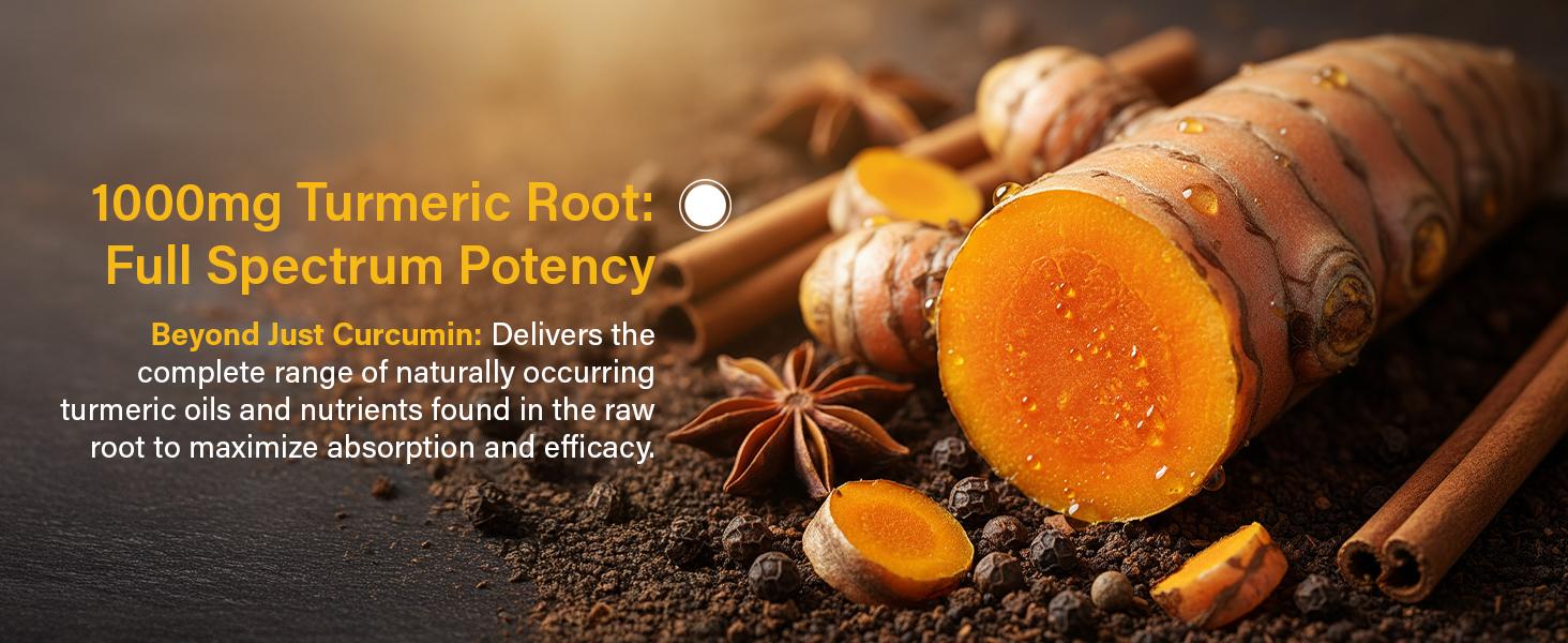 Sleeve Stars Turmeric Curcumin Supplement with Ginger & Black Pepper Bioperine Joint Support Supplement 1000mg Turmeric with 95% Curcuminoids Inflammatory Response Non-GMO Vegan 60 Capsules