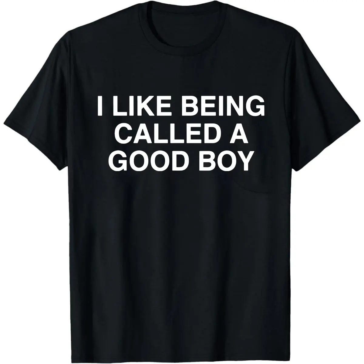 Good Boy Shirt, Funny Meme Shirt, Stupid Shirt, Dumb Shirt, Brain Rot Shirt, Embarrassing Shirt, Funny saying shirt, Bold Statement Shirt