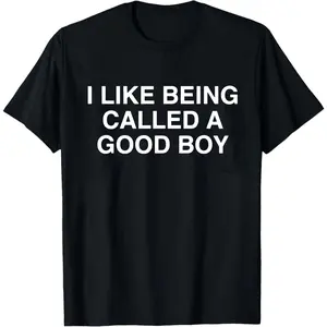 Good Boy Shirt, Funny Meme Shirt, Stupid Shirt, Dumb Shirt, Brain Rot Shirt, Embarrassing Shirt, Funny saying shirt, Bold Statement Shirt