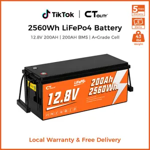 [Summer Vibes]CTOLITY CT200-12 12.8V 200Ah LiFePO4 Battery Built-in 200A BMS 2560Wh A Grade Cells 4000+ Cycles Solar Generator System RV for Smartphone Charge
